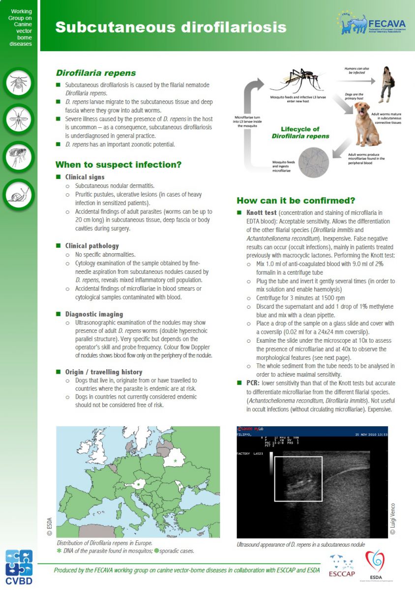 Factsheet on subcutaneous dirofilariosis (September 2018)