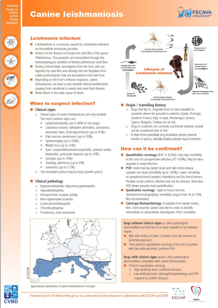 Factsheet on canine leishmaniasis (October 2018)